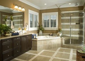 Bathroom Plumbing Services in Frederick County